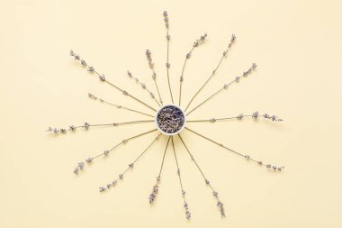 Renkli arka planda bir kase lavanta çiçeğiyle kompozisyon