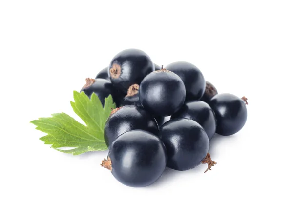 Mucchio Ribes Nero Maturo Sfondo Bianco — Foto Stock