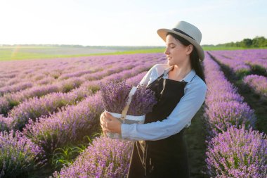 Tarlada lavanta çiçekli sepeti tutan kadın çiftçi.