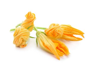 Beyaz arkaplanda kabak çiçekleri