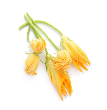 Beyaz arkaplanda kabak çiçekleri