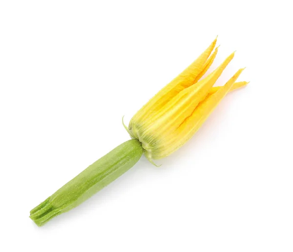 Fiore Zucchine Sfondo Bianco — Foto Stock