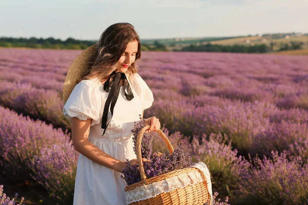 Lavanta Tarlasında Piknik Sepeti Olan Güzel Genç Bir Kadın — Stok fotoğraf