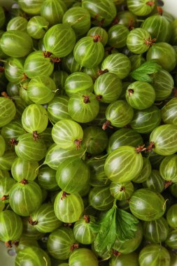 Arka plan olarak taze bektaşi üzümü.