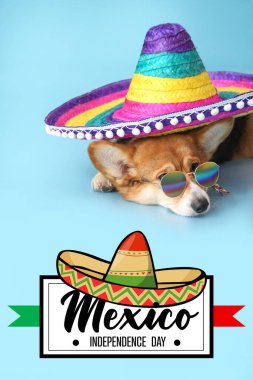 Meksika 'nın Bağımsızlık Günü için tebrik kartı. Sombrero' da şirin bir köpekle.