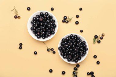 Renkli olgun siyah frenk üzümlü kaseler