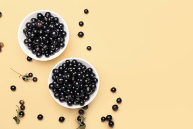 Renkli olgun siyah frenk üzümlü kaseler