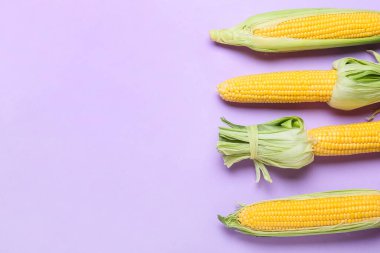 Renkli arka planda taze mısır koçanları, yakın plan