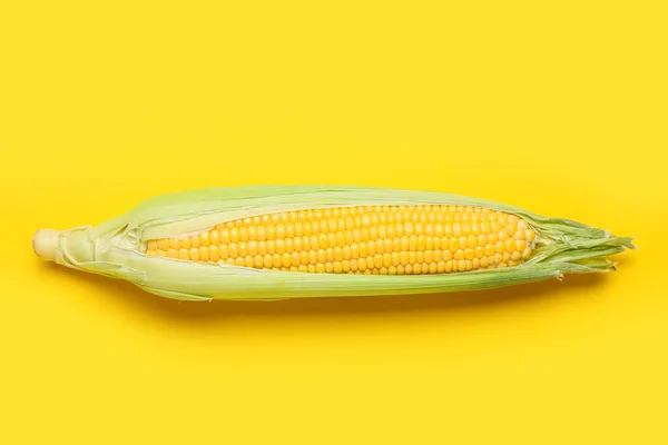 Świeża Kolba Kukurydzy Tle Koloru — Zdjęcie stockowe