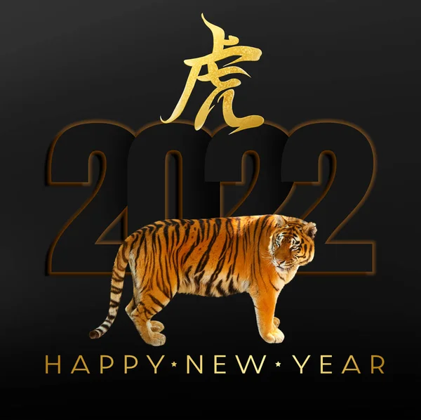 Bellissimo Biglietto Auguri Capodanno Con Tigre 2022 — Foto Stock