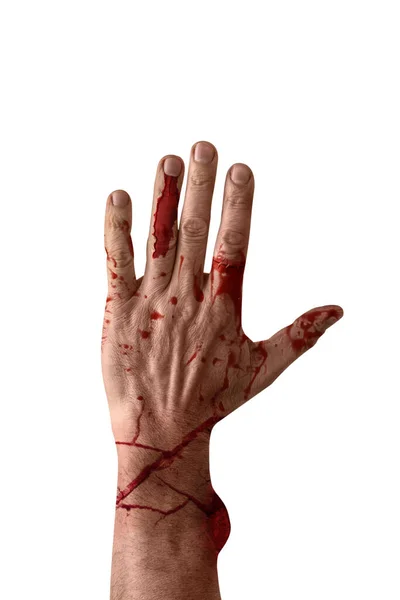 Людська Рука Вкрита Кров Білому Тлі Святкування Хелловін — стокове фото