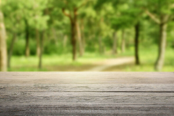 Empty wooden table in park