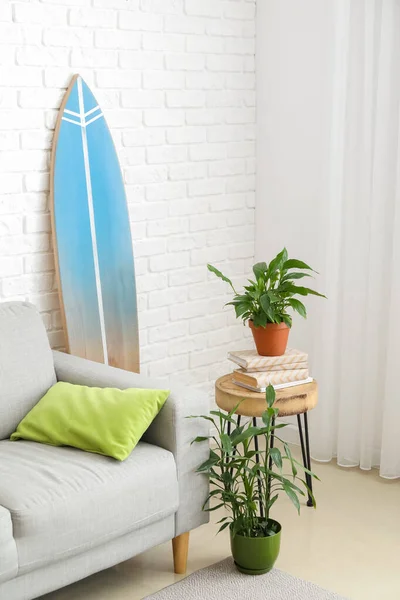 Interior Modern Stylish Room Surfboard Sofa Houseplants — Stock Photo, Image