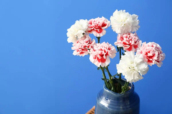 Vase Beautiful Carnation Flowers Color Background — Stock Photo, Image