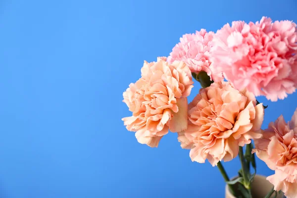 Florero Con Hermosas Flores Clavel Sobre Fondo Color Primer Plano — Foto de Stock