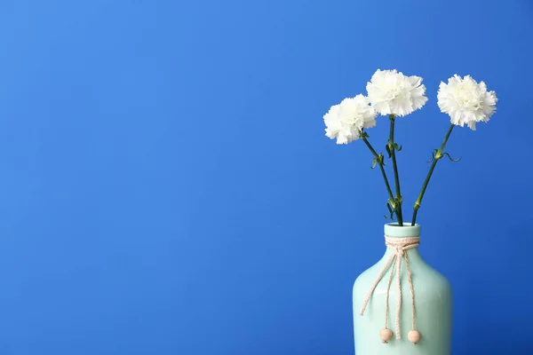 Vase Beautiful Carnation Flowers Color Background — Stock Photo, Image