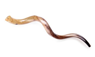 Beyaz arka planda Shofar. Rosh Hashanah (Yahudi Yeni Yılı) kutlaması