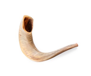 Beyaz arka planda Shofar. Rosh Hashanah (Yahudi Yeni Yılı) kutlaması