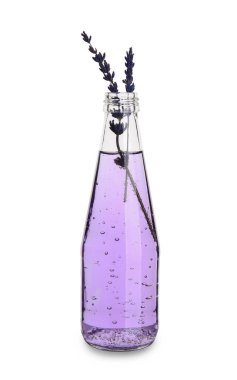 Beyaz arka planda lavantalı taze bir kokteyl.