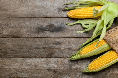 Ahşap zemin, closeup üzerine taze mısır koçanı