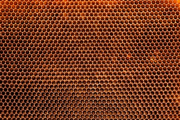 Honeycombs Background Top View — Stock Photo, Image