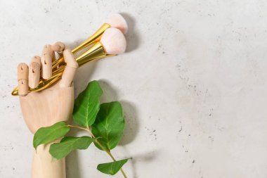 Makyaj fırçalı ahşap el ve beyaz arka planda bitki dalı