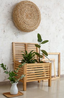 Hafif duvarın yanında ev bitkileri olan ahşap çekmeceler.
