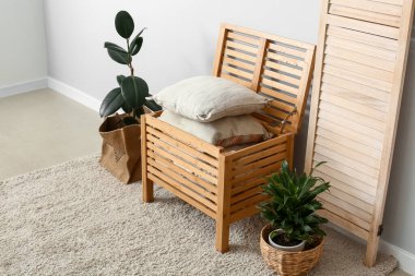 Yastıklı çekmeceler ve ışık duvarının yanında bitkiler.