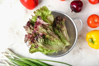 Taze Lollo Rosso marullu Colander.