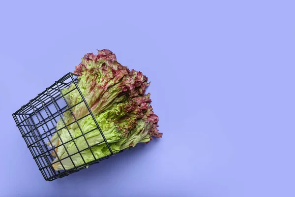 Корзина Свіжим Кольором Lollo Rosso Lettuce Кольоровому Тлі — стокове фото