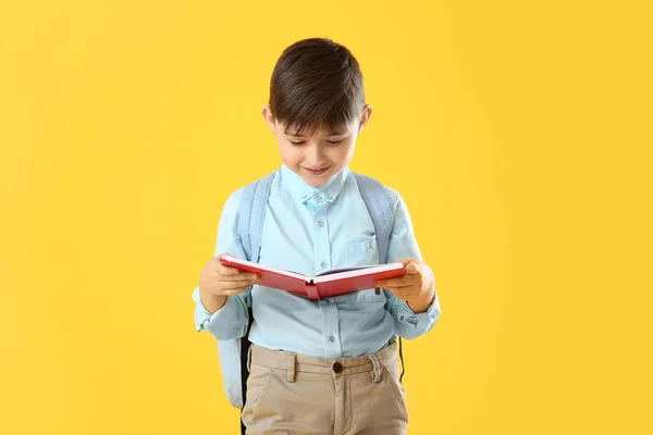 Kleiner Schuljunge Liest Buch Auf Farbigem Hintergrund — Stockfoto