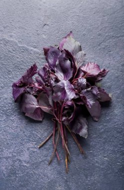 Koyu arkaplanda taze fesleğen