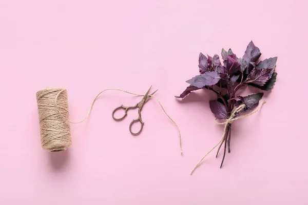 Grămadă Busuioc Proaspăt Frânghie Foarfece Fundal Color — Fotografie, imagine de stoc