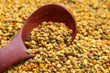 Kaşıklı arı poleni yığını, yakın çekim.