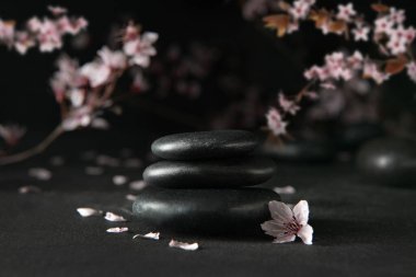 Koyu arkaplanda kaplıca taşı ve çiçek yığını