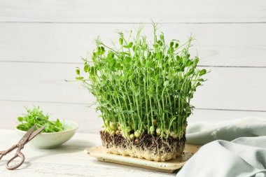 Hafif ahşap zemin üzerinde taze mikro yeşil