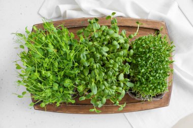 Açık arkaplanda taze mikro yeşil pano