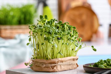 Masada taze mikro yeşil