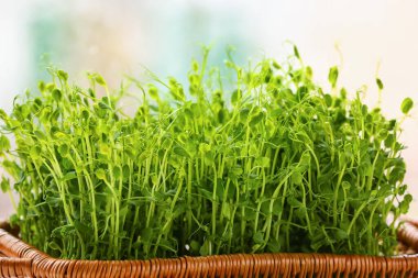 Taze mikro yeşil sepetli, yakın plan.