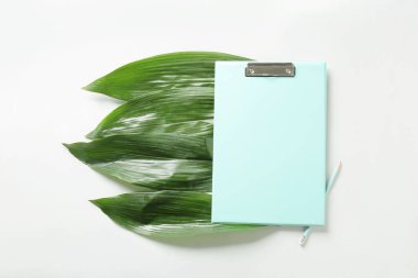 Beyaz arkaplanda pano, kalem ve yeşil yapraklarla kompozisyon