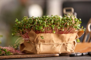 Masada taze mikro yeşil