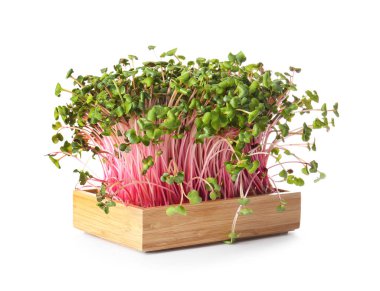 Beyaz arka planda taze mikro yeşil ahşap kutu