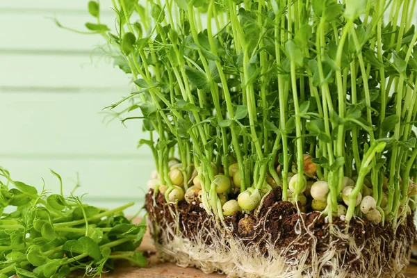 Verse Micro Groen Kleur Houten Achtergrond Close — Stockfoto