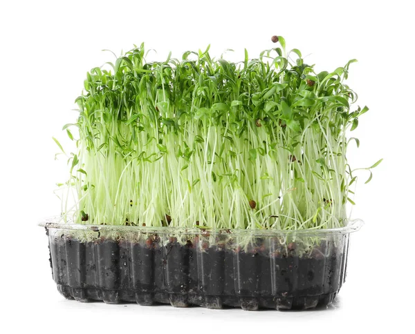 Plastic Container Fresh Micro Green White Background — Stock Photo, Image