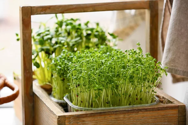 Cesto Legno Con Micro Verde Fresco Sul Tavolo Primo Piano — Foto Stock