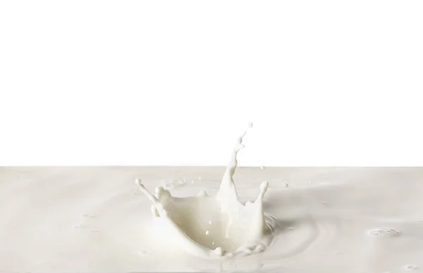 Splashes Leite Fundo Branco — Fotografia de Stock