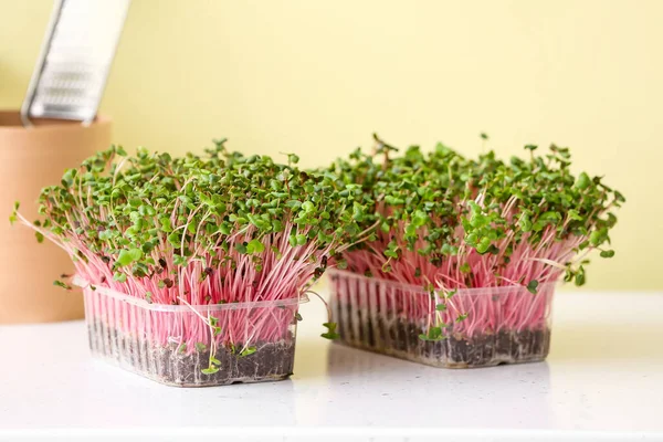 Plastic Containers Fresh Micro Green Color Background — Stock Photo, Image