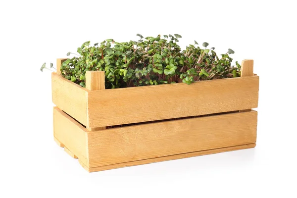 Caja Madera Con Micro Verde Fresco Sobre Fondo Blanco — Foto de Stock