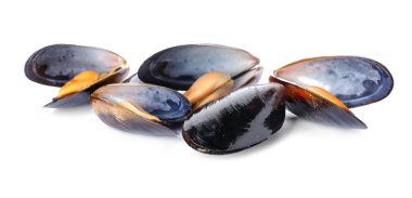 Beyaz arkaplanda ham midyeler