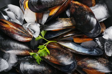 Arkaplan olarak çiğ midyeler, yakın plan